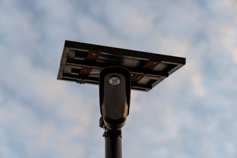 Flock cameras